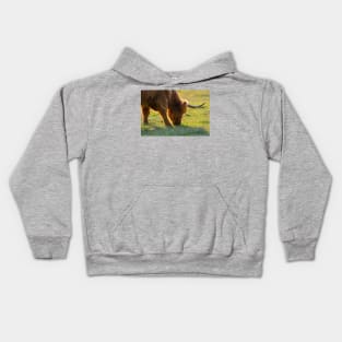 Longhorn Cattle Kids Hoodie